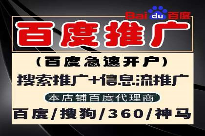 百度竞价代理实战技巧：经典案例深度解读